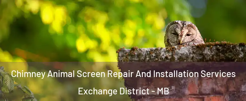  Chimney Animal Screen Repair And Installation Services Exchange District - MB