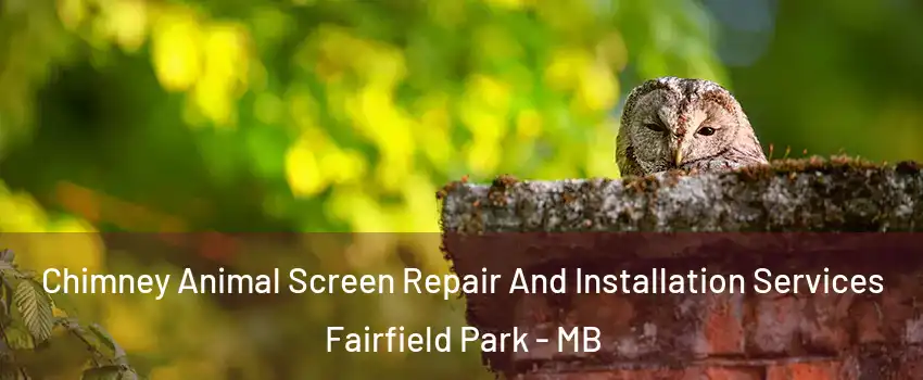  Chimney Animal Screen Repair And Installation Services Fairfield Park - MB