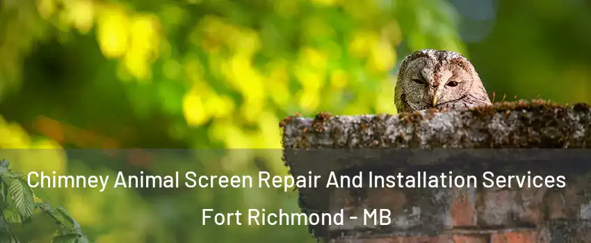  Chimney Animal Screen Repair And Installation Services Fort Richmond - MB