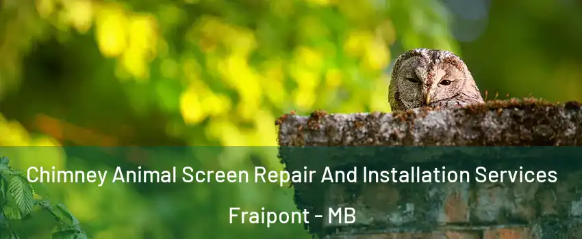  Chimney Animal Screen Repair And Installation Services Fraipont - MB