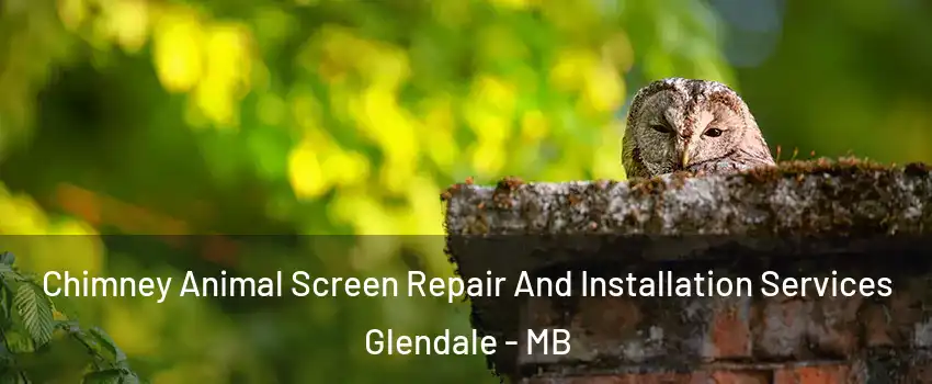  Chimney Animal Screen Repair And Installation Services Glendale - MB