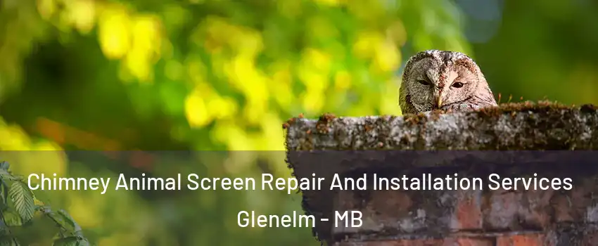  Chimney Animal Screen Repair And Installation Services Glenelm - MB