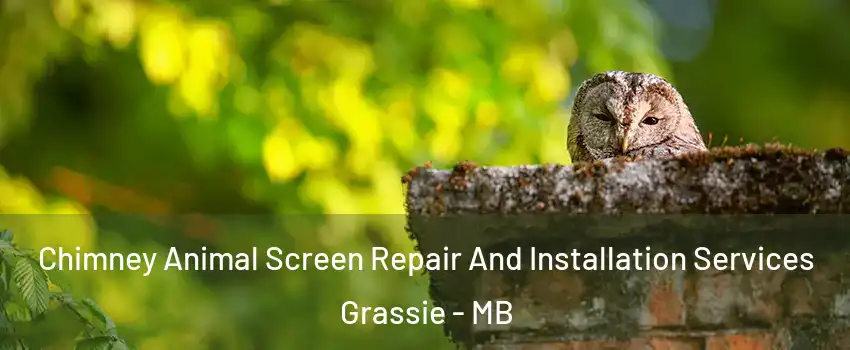  Chimney Animal Screen Repair And Installation Services Grassie - MB