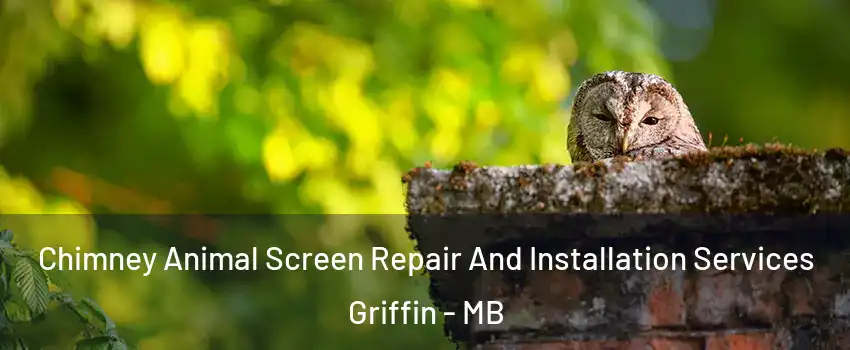  Chimney Animal Screen Repair And Installation Services Griffin - MB