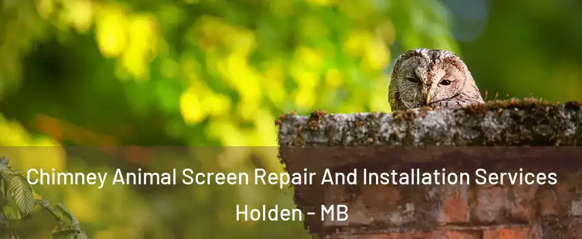  Chimney Animal Screen Repair And Installation Services Holden - MB