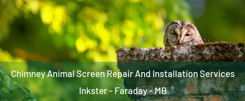  Chimney Animal Screen Repair And Installation Services Inkster - Faraday - MB