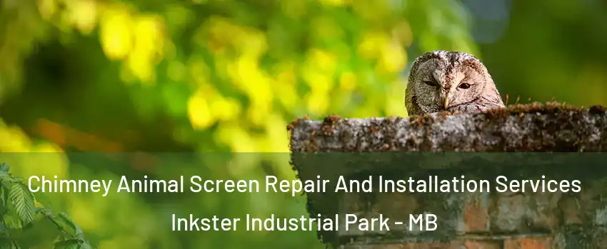  Chimney Animal Screen Repair And Installation Services Inkster Industrial Park - MB