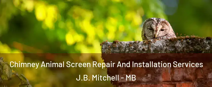  Chimney Animal Screen Repair And Installation Services J.B. Mitchell - MB