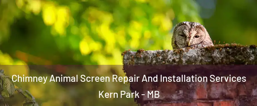  Chimney Animal Screen Repair And Installation Services Kern Park - MB