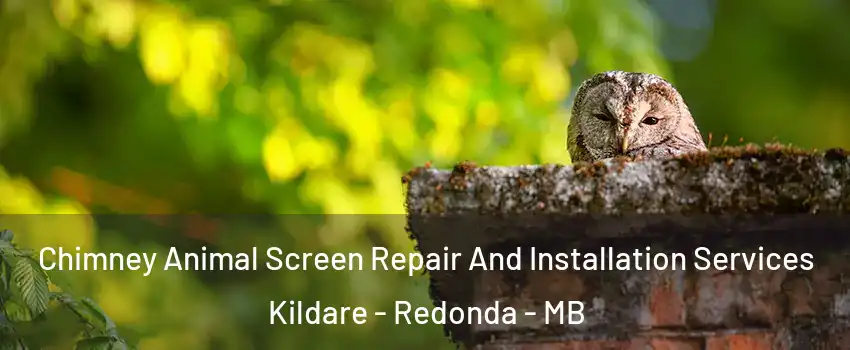  Chimney Animal Screen Repair And Installation Services Kildare - Redonda - MB