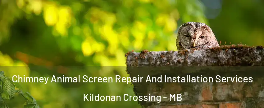  Chimney Animal Screen Repair And Installation Services Kildonan Crossing - MB