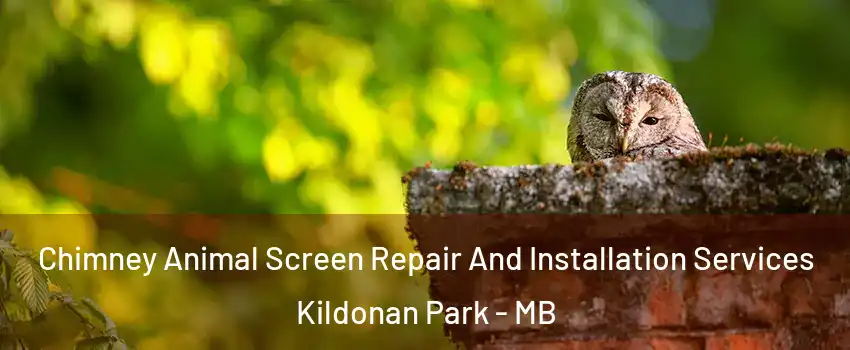  Chimney Animal Screen Repair And Installation Services Kildonan Park - MB
