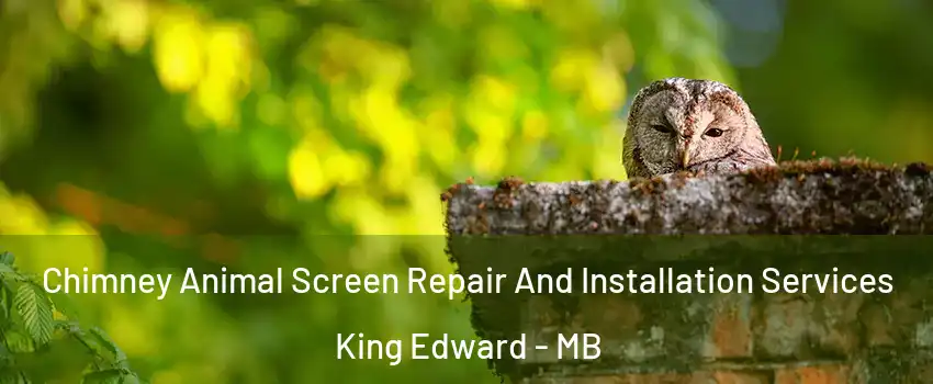  Chimney Animal Screen Repair And Installation Services King Edward - MB