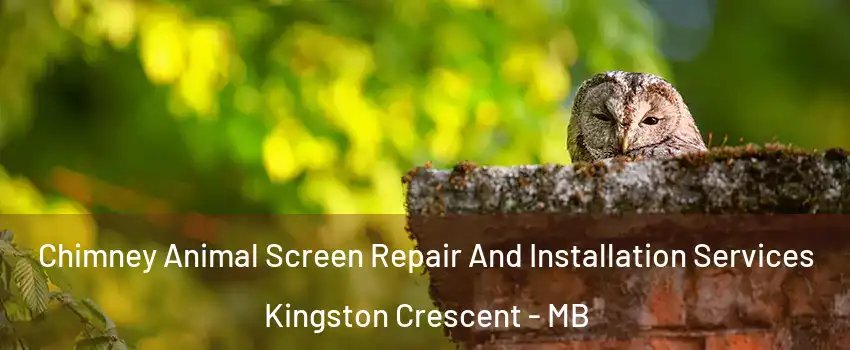  Chimney Animal Screen Repair And Installation Services Kingston Crescent - MB