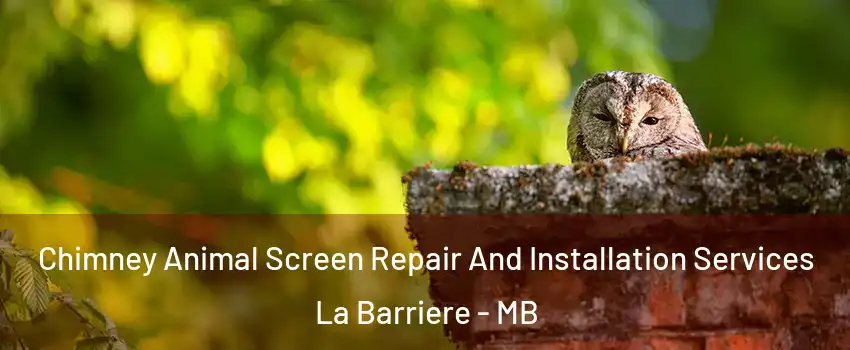  Chimney Animal Screen Repair And Installation Services La Barriere - MB