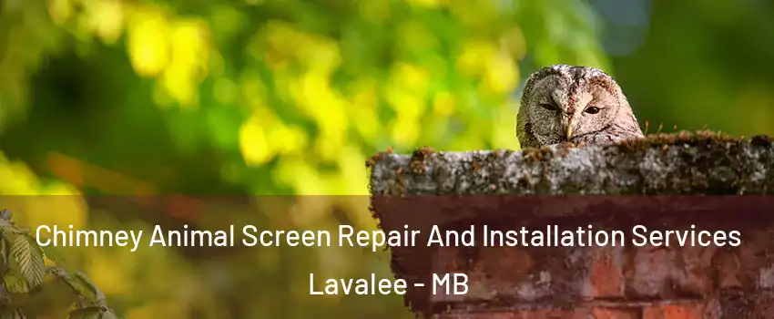  Chimney Animal Screen Repair And Installation Services Lavalee - MB
