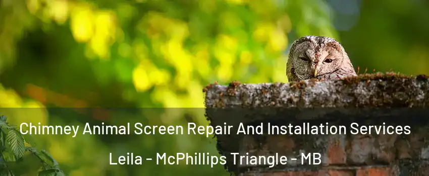  Chimney Animal Screen Repair And Installation Services Leila - McPhillips Triangle - MB