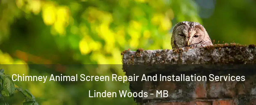  Chimney Animal Screen Repair And Installation Services Linden Woods - MB