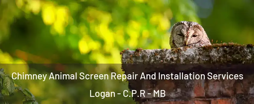  Chimney Animal Screen Repair And Installation Services Logan - C.P.R - MB