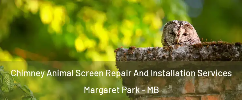  Chimney Animal Screen Repair And Installation Services Margaret Park - MB