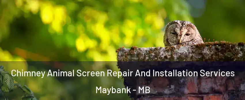  Chimney Animal Screen Repair And Installation Services Maybank - MB