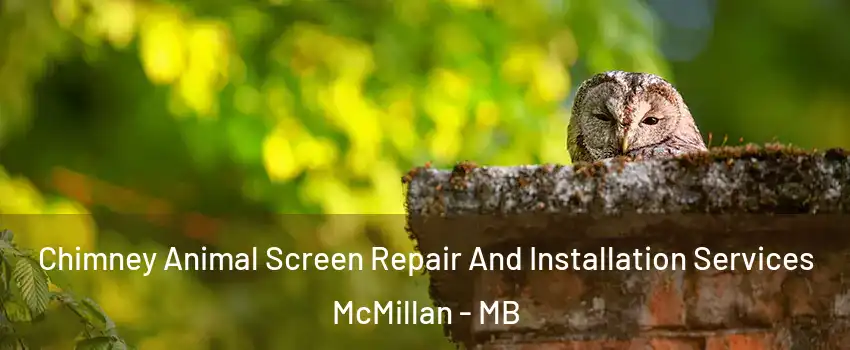  Chimney Animal Screen Repair And Installation Services McMillan - MB