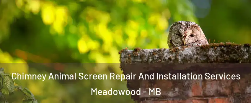  Chimney Animal Screen Repair And Installation Services Meadowood - MB
