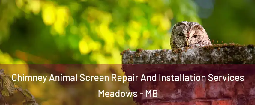  Chimney Animal Screen Repair And Installation Services Meadows - MB