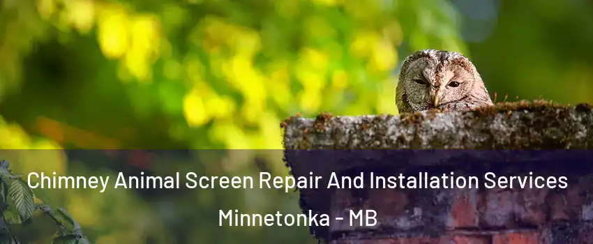  Chimney Animal Screen Repair And Installation Services Minnetonka - MB