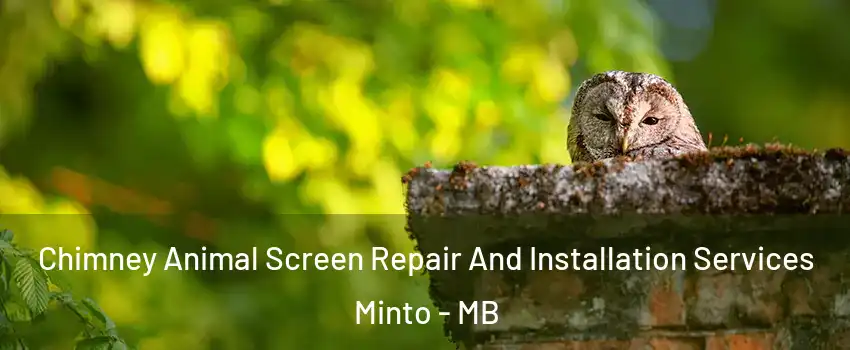  Chimney Animal Screen Repair And Installation Services Minto - MB