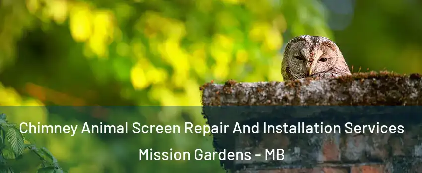  Chimney Animal Screen Repair And Installation Services Mission Gardens - MB