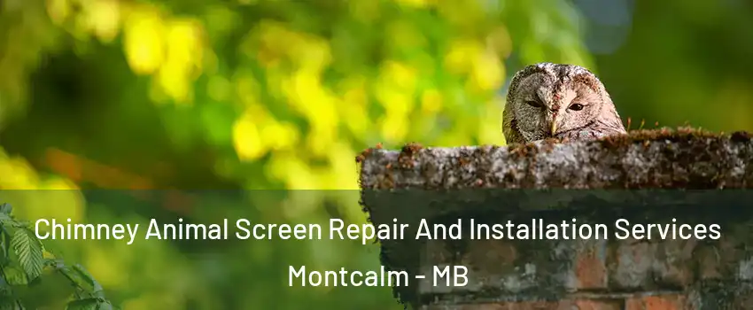  Chimney Animal Screen Repair And Installation Services Montcalm - MB