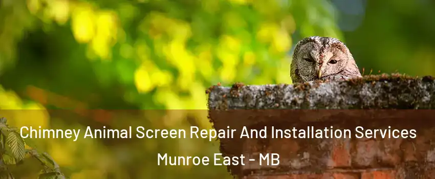  Chimney Animal Screen Repair And Installation Services Munroe East - MB