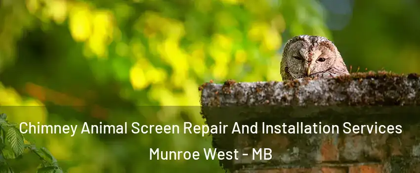  Chimney Animal Screen Repair And Installation Services Munroe West - MB
