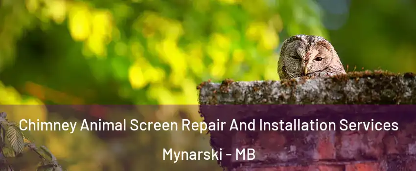  Chimney Animal Screen Repair And Installation Services Mynarski - MB