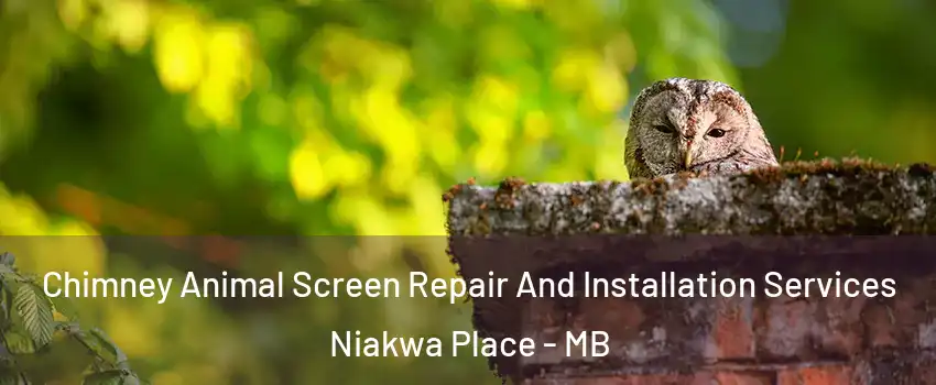  Chimney Animal Screen Repair And Installation Services Niakwa Place - MB