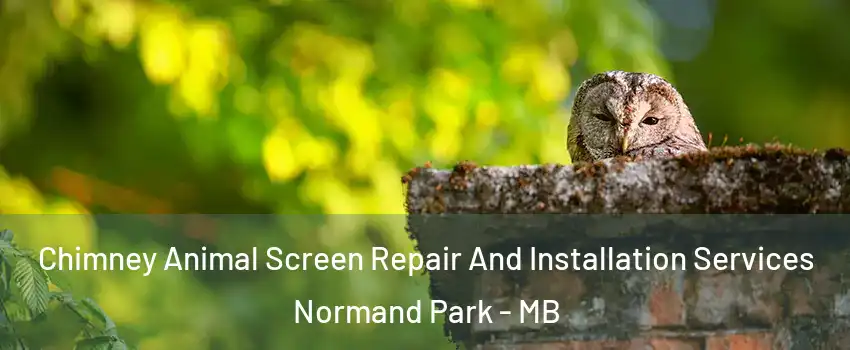  Chimney Animal Screen Repair And Installation Services Normand Park - MB