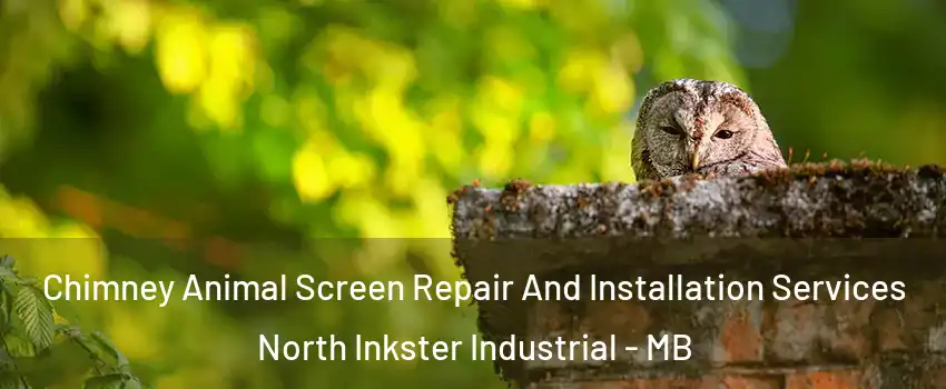  Chimney Animal Screen Repair And Installation Services North Inkster Industrial - MB