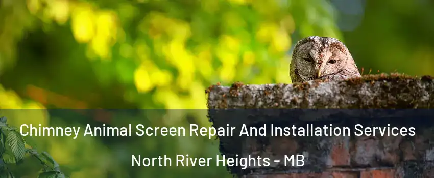  Chimney Animal Screen Repair And Installation Services North River Heights - MB