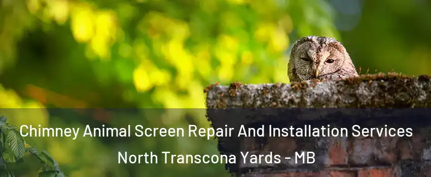 Chimney Animal Screen Repair And Installation Services North Transcona Yards - MB