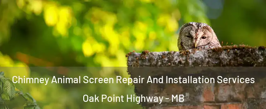  Chimney Animal Screen Repair And Installation Services Oak Point Highway - MB