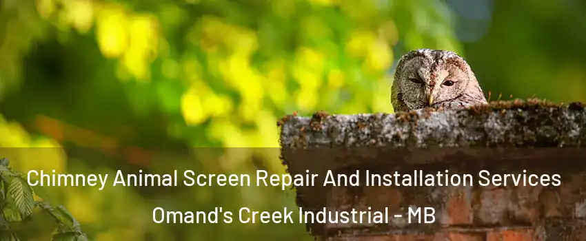  Chimney Animal Screen Repair And Installation Services Omand's Creek Industrial - MB