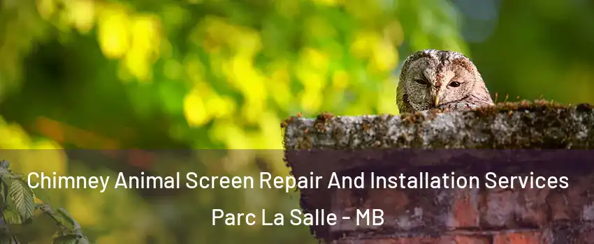  Chimney Animal Screen Repair And Installation Services Parc La Salle - MB