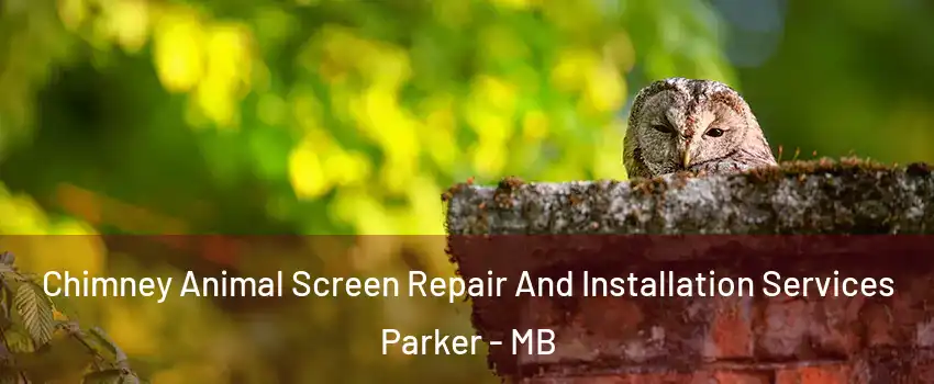  Chimney Animal Screen Repair And Installation Services Parker - MB