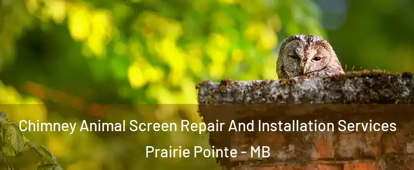  Chimney Animal Screen Repair And Installation Services Prairie Pointe - MB