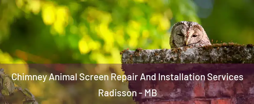  Chimney Animal Screen Repair And Installation Services Radisson - MB