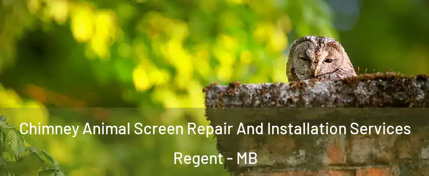  Chimney Animal Screen Repair And Installation Services Regent - MB