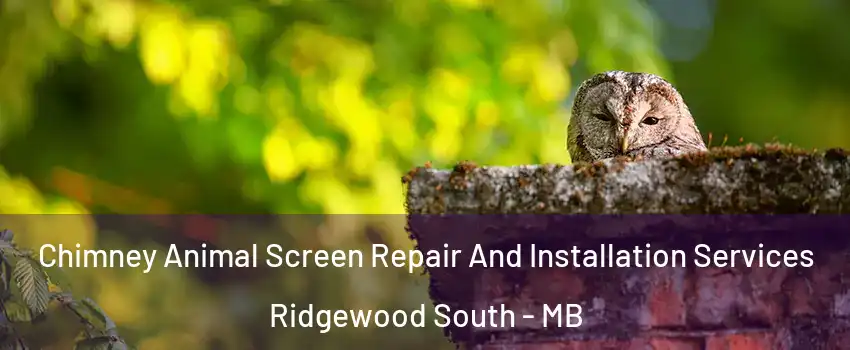  Chimney Animal Screen Repair And Installation Services Ridgewood South - MB
