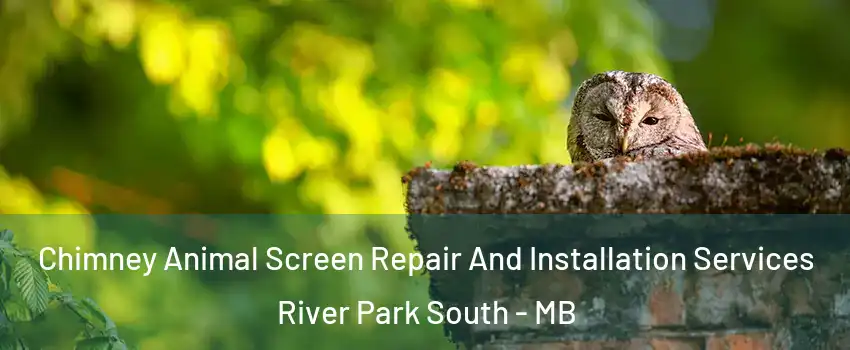  Chimney Animal Screen Repair And Installation Services River Park South - MB