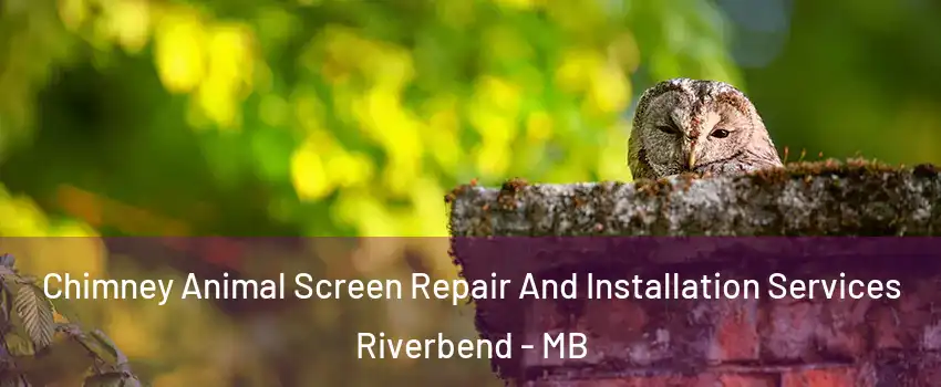 Chimney Animal Screen Repair And Installation Services Riverbend - MB